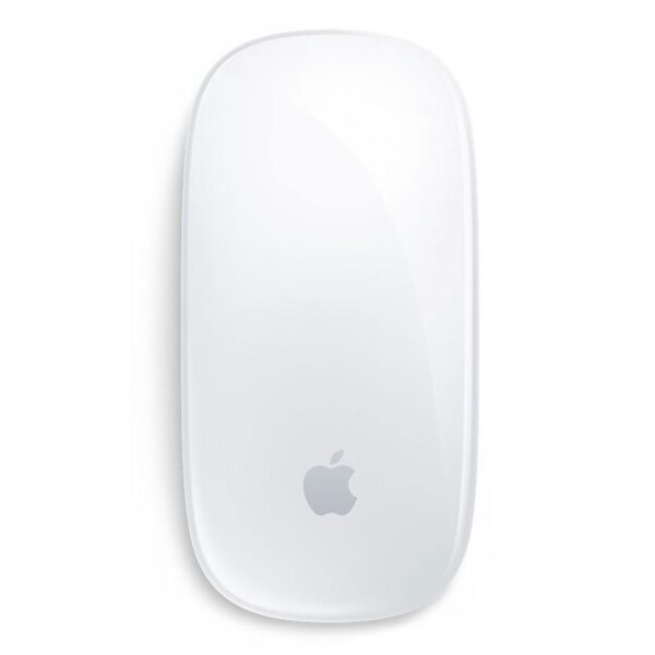 Magic mouse 2